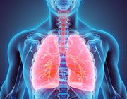Respiratory Protection Formula Ramil Herbs