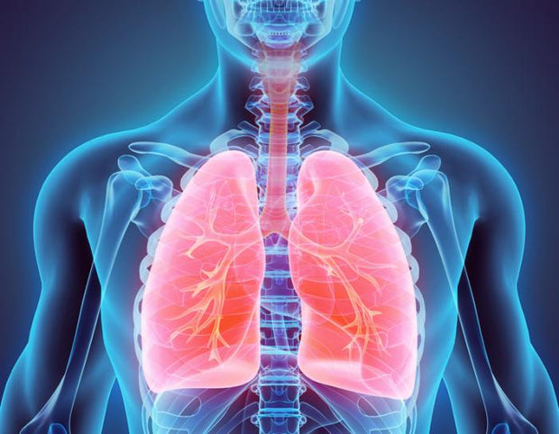 Respiratory Protection Formula Ramil Herbs