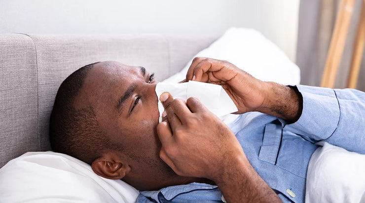 herbs that kill viruses